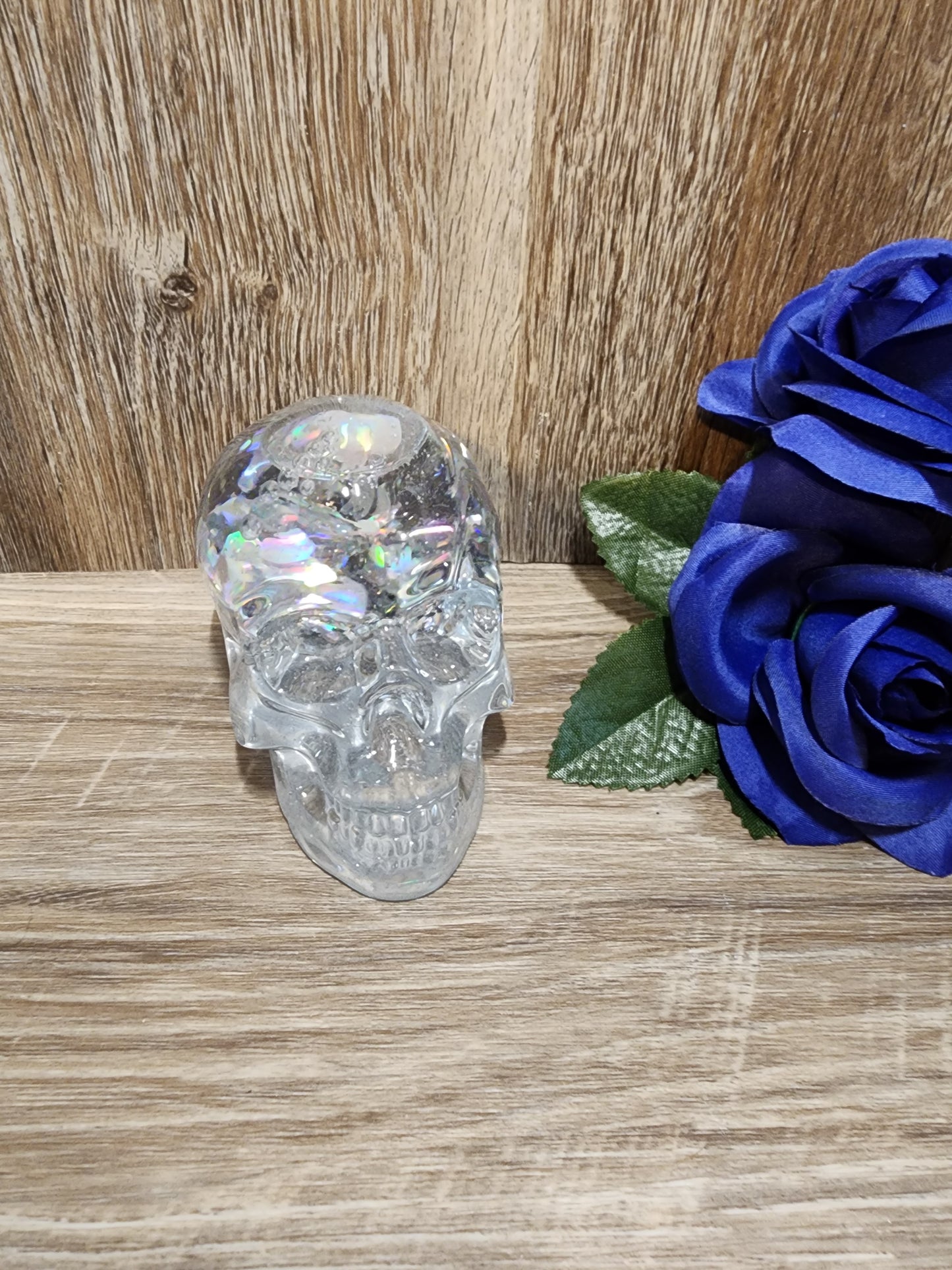 WATER GLOBE SKULL